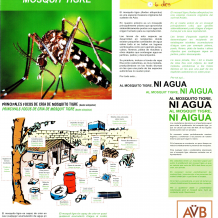 Campaña de prevención Mosquito Tigre