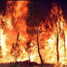 Xarrada informativa prevencio d’incendis a Bixquert